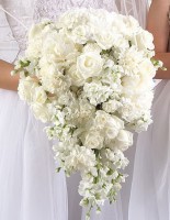 /album/hoa-c%c6%b0%e1%bb%9bi-c%e1%ba%a7m-tay/a1-11-jpg1/